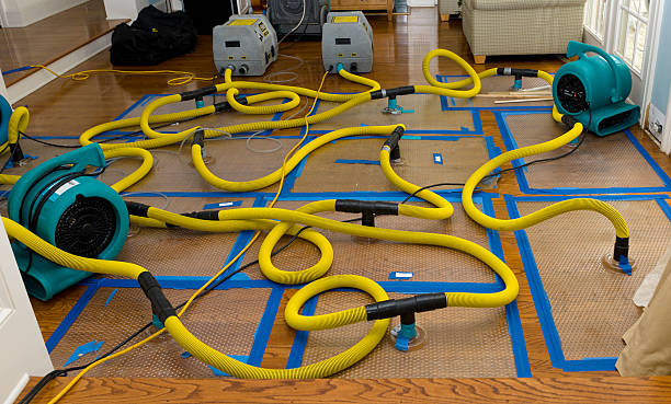 Professional Water Extraction technician working in Pierce City, MO